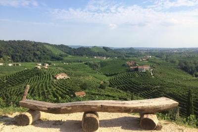 Prosecco - Wine tour & tasting - Full day in the Prosecco region Prosecco - Wine tour & tasting - Full day in the Prosecco region