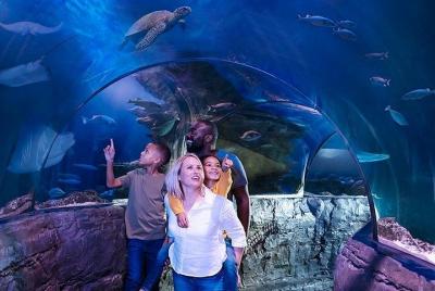 SEA LIFE London Aquarium Admission Ticket SEA LIFE London Aquarium Admission Ticket
