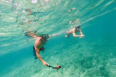 Admission Ticket to Coral World & Coki Point Beach with Snorkelin Admission Ticket to Coral World & Coki Point Beach with Snorkelin