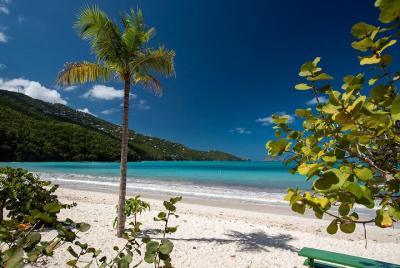 Paradise Taxi & Tours USVI-St.Thomas-Virgin Islands-Island Magen Paradise Taxi & Tours USVI-St.Thomas-Virgin Islands-Island Magen'