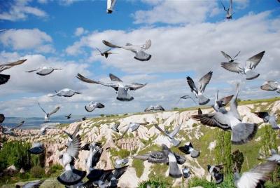 Private Cappadocia Blue Tour Private Cappadocia Blue Tour