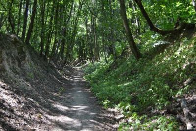 Private Kyiv Hiking Tour in Holosiivsky Forest and Kitaevskaya He Private Kyiv Hiking Tour in Holosiivsky Forest and Kitaevskaya He