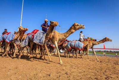 Al Ain Tour from Abu Dhabi Al Ain Tour from Abu Dhabi