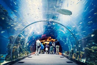 Dubai Aquarium and Underwater Zoo Admission Tickets Dubai Aquarium and Underwater Zoo Admission Tickets