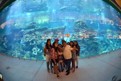 Super Saver Combo:- Dubai Aquarium & Underwater Zoo