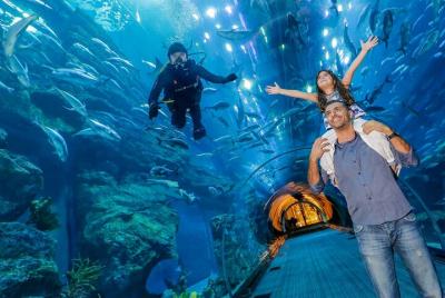 Dubai Aquarium & Underwater Zoo - Basic Dubai Aquarium & Underwater Zoo - Basic
