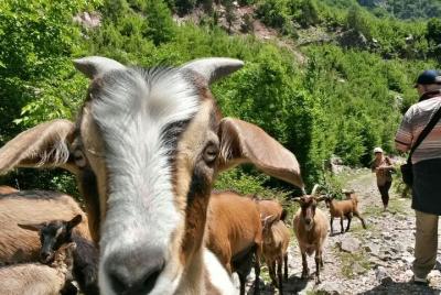 Tour of Komani Lake & Valbona Valley in two days Tour of Komani Lake & Valbona Valley in two days