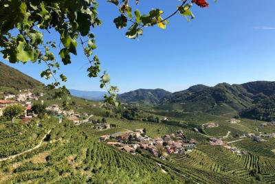 A sparkling day in the Prosecco Hills A sparkling day in the Prosecco Hills