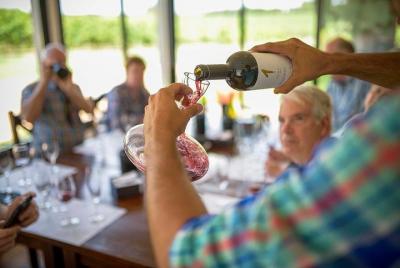 Pizzorno Wine Experience - Guided and Private Experience with Pic Pizzorno Wine Experience - Guided and Private Experience with Pic