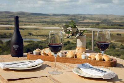 Wine Tasting Wine Tasting