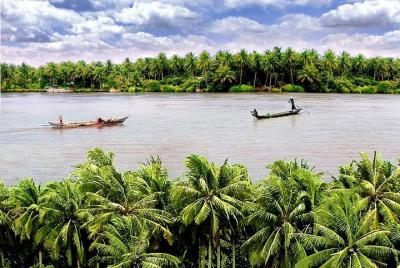 1 day tour from Can Tho to Ben Tre - King coconut trees - come back / to Sai Gon 1 day tour from Can Tho to Ben Tre - King coconut trees - come back / to Sai Gon