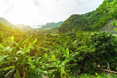 Cat Ba National Park Trekking Full Day from Cat Ba Island Cat Ba National Park Trekking Full Day from Cat Ba Island