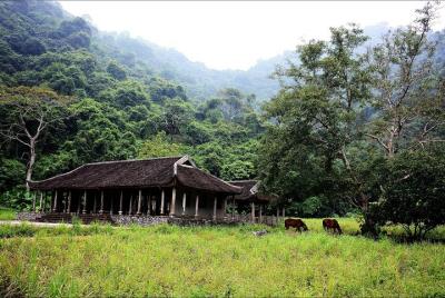 Full day hikking in Jungle of Cat Ba National park Full day hikking in Jungle of Cat Ba National park