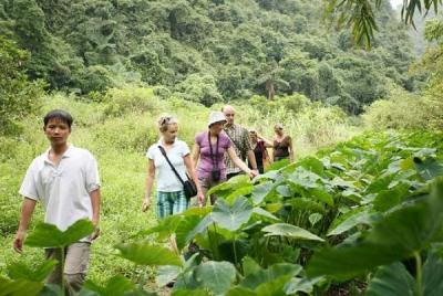 Private Tour Cat Ba National Park Long Trek Full Day Private Tour Cat Ba National Park Long Trek Full Day