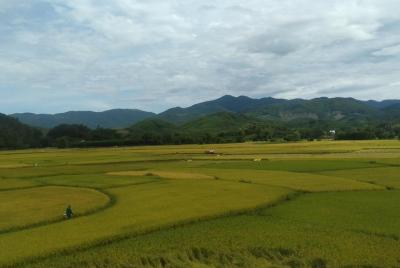 Motorbike tour around Việt Nam Motorbike tour around Việt Nam