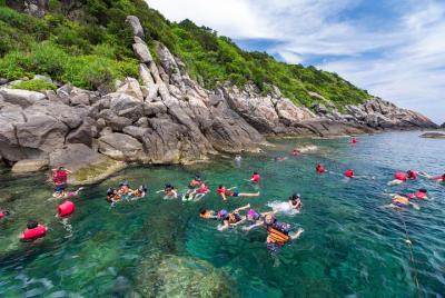 Full-day BIG GROUP CHAM ISLAND AND SNORKELING from DA NANG