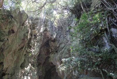 Half-day: BIG GROUP VISIT MARBLE MOUNTAINS FROM DA NANG Half-day: BIG GROUP VISIT MARBLE MOUNTAINS FROM DA NANG