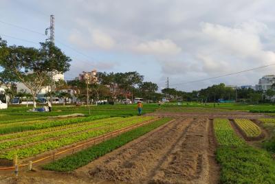 Da Nang farming tour and local food experience Da Nang farming tour and local food experience