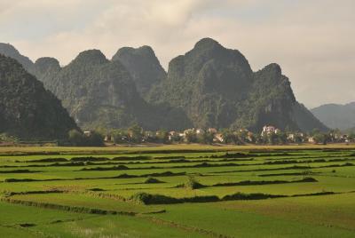 TOUR TO THE CAVES - ONE DAY tour to Phong Nha & Paradise caves TOUR TO THE CAVES - ONE DAY tour to Phong Nha & Paradise caves