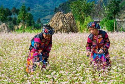 Private Full Day Dong Van trekking from Ha Giang Private Full Day Dong Van trekking from Ha Giang