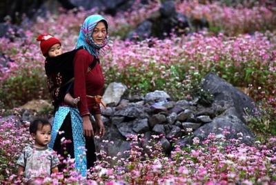 2-Day Ha Giang City and Nam Dam Village Guided Cultural Tour 2-Day Ha Giang City and Nam Dam Village Guided Cultural Tour