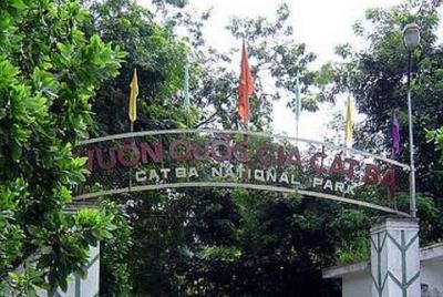 Cat Ba Trekking Tours National Park Half Day From Cat Ba Island Cat Ba Trekking Tours National Park Half Day From Cat Ba Island