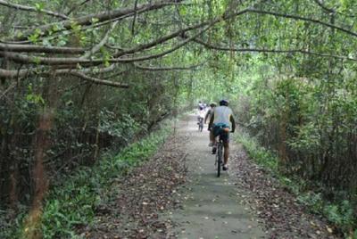 Cat Ba Biking Tours Half Day depart from Cat Ba Town Cat Ba Biking Tours Half Day depart from Cat Ba Town