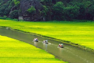 Full Day Hoa Lu and Tam Coc Tour With Lunch, Sampan Boat & Entrance Fees