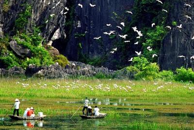 Superb Day Tour:Hoa Lu-Tam Coc-Mua Cave-Trang An.. Biking & Boat Trip from Hanoi Superb Day Tour:Hoa Lu-Tam Coc-Mua Cave-Trang An.. Biking & Boat Trip from Hanoi