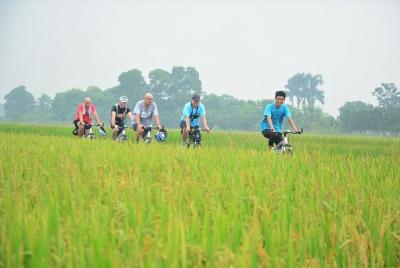 Full-Day Hanoi Outskirts E-Bike Tour with Lunch and Guide Full-Day Hanoi Outskirts E-Bike Tour with Lunch and Guide