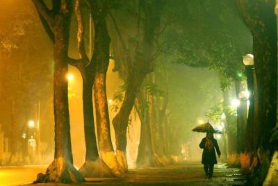 Special offer Free tour + Cyclo tour at night to Ho Chi MInh Mausoleum  Special offer Free tour + Cyclo tour at night to Ho Chi MInh Mausoleum