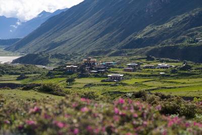 Wonderful Bhutan Tour- 8 Nights 9 Days Wonderful Bhutan Tour- 8 Nights 9 Days