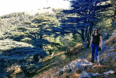 Wine and Hiking in the Cedars forest Wine and Hiking in the Cedars forest