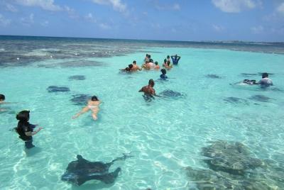 Island Safari and Stingray Fantasy Antigua Island Safari and Stingray Fantasy Antigua