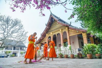 Luang Prabang City & Kuangsi Waterfall & Bear Rescue Day Tour Luang Prabang City & Kuangsi Waterfall & Bear Rescue Day Tour