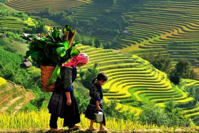 Sa Pa 2-Day Easy Trek and Homestay Bus Tour from Hanoi Sa Pa 2-Day Easy Trek and Homestay Bus Tour from Hanoi