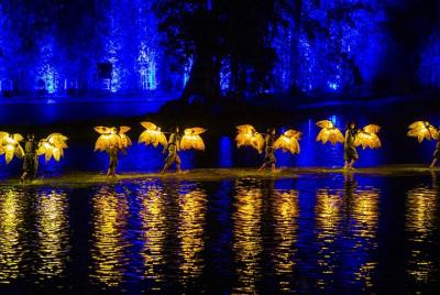 Skip the Line: Tonkin Show–The Quintessence of Tonkin Ticket- Transfer included  Skip the Line: Tonkin Show–The Quintessence of Tonkin Ticket- Transfer included