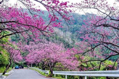 Honeymoon Vietnam Tour