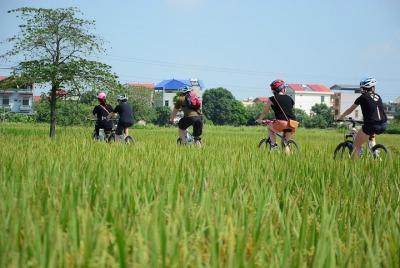 Hanoi half day biking tour culture, history, foods Hanoi half day biking tour culture, history, foods