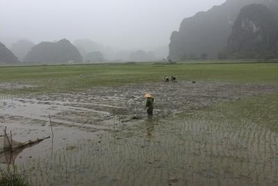 we provide any type of activities and tailor made programs and tours for clients