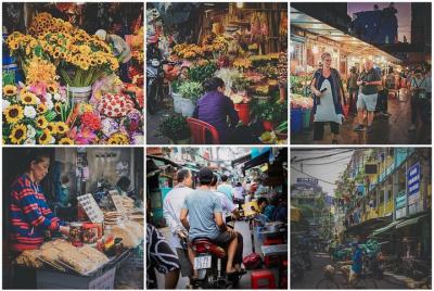 The Local Host connect The Tourist