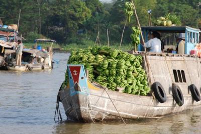PRIVATE LUXURY Mekong Delta full day from HCM city PRIVATE LUXURY Mekong Delta full day from HCM city