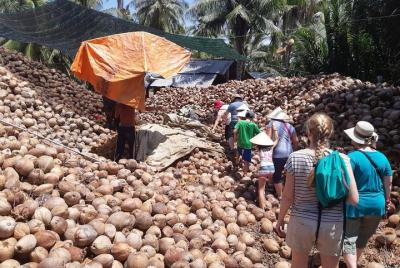 Mekong Delta Rural Life - In Touch With Locals Mekong Delta Rural Life - In Touch With Locals