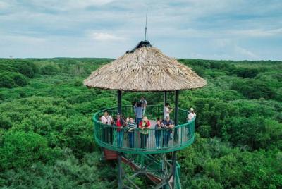 Can Gio Biosphere Private 1 day.  Can Gio Biosphere Private 1 day.