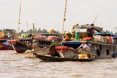 Mekong Delta Floating Market experience 2-day: Small group tour Mekong Delta Floating Market experience 2-day: Small group tour