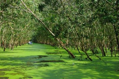3-day Mekong Delta tour with Tra Su Sanctuary 3-day Mekong Delta tour with Tra Su Sanctuary