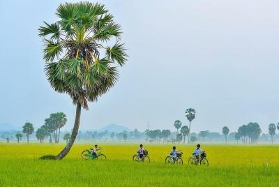 3-day experience Ho Chi Minh (Saigon) & Mekong Delta 3-day experience Ho Chi Minh (Saigon) & Mekong Delta
