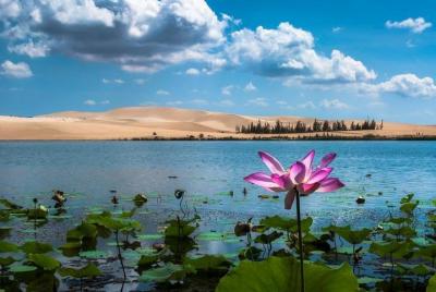 From Ho Chi Minh To Mui Ne Day Tour From Ho Chi Minh To Mui Ne Day Tour