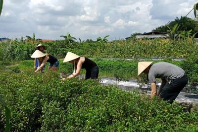 Typical Vietnamese Cooking Class in the nature