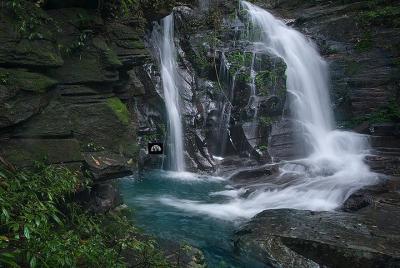 Bach Ma National Park Day Trip From Hoi An & Da Nang Bach Ma National Park Day Trip From Hoi An & Da Nang